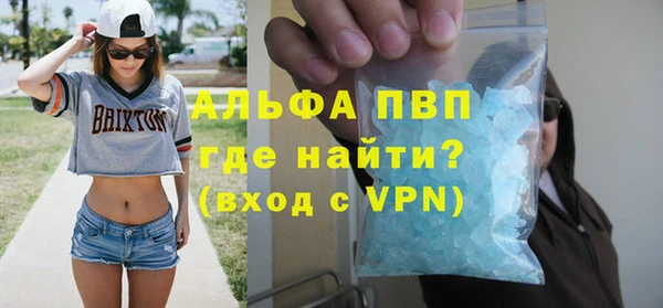 метадон Богданович