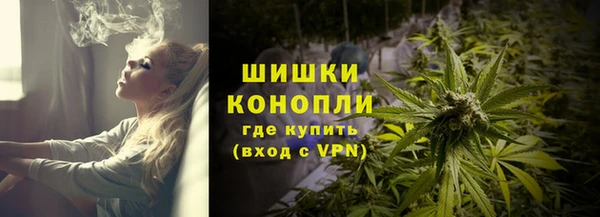 метадон Богданович