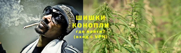 метадон Богданович