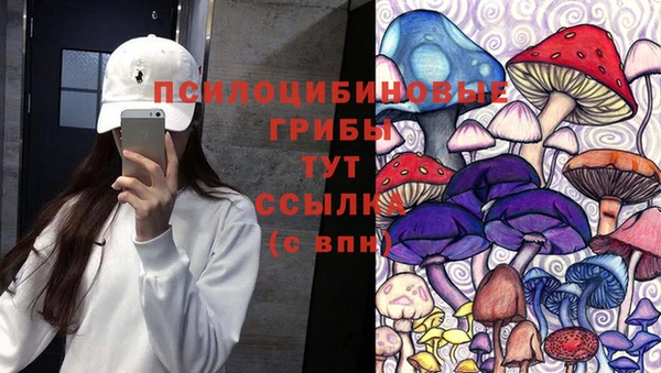 наркотики Богородск