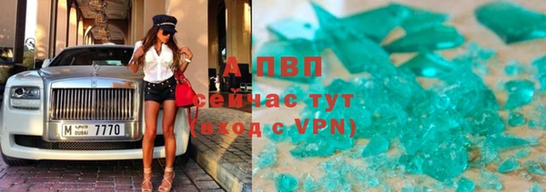 метадон Богданович