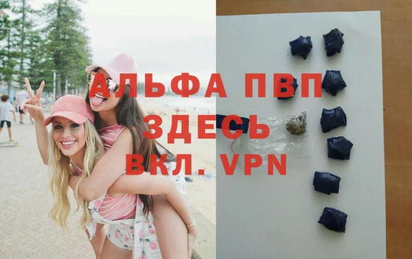 метадон Богданович