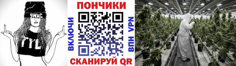 мега как зайти  дарнет шоп  Болохово  Шишки марихуана тримм 